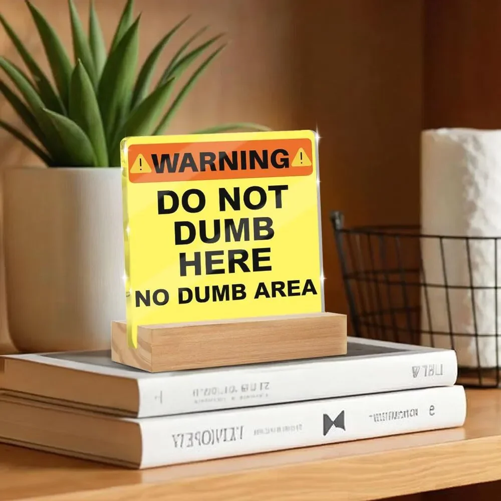 Funny Office Desk Decor Acrylic Sign Do Not Dumb Here 4x4 Gift Coworker